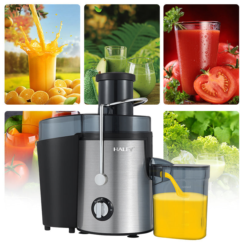 Storcător Electric Fructe și Legume HALEY 1000W – Panou Touch, Motor Puternic, Silențios, 500ml