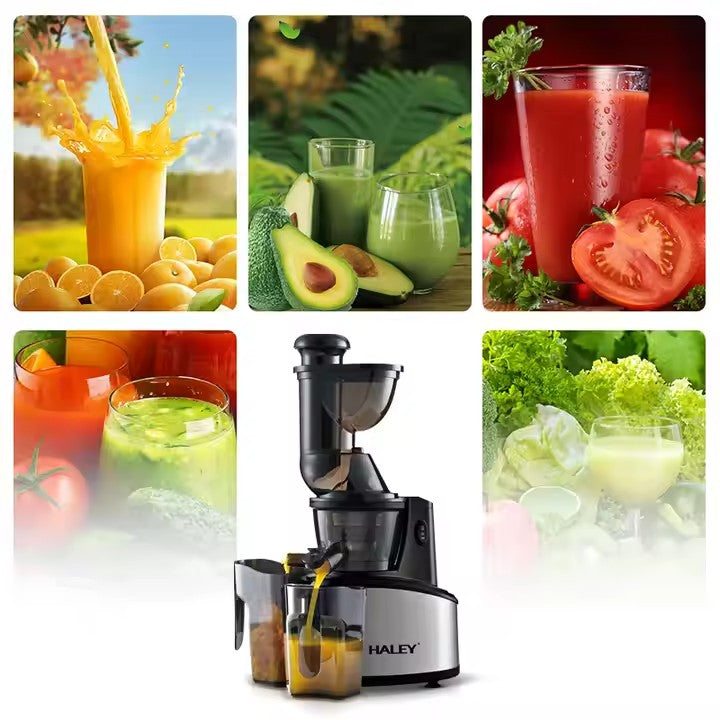 Storcător Electric Fructe și Legume HALEY 250W – Zgomot Redus, Eficiență Ridicată, 500ml, Design Modern cu Funcții Avansate