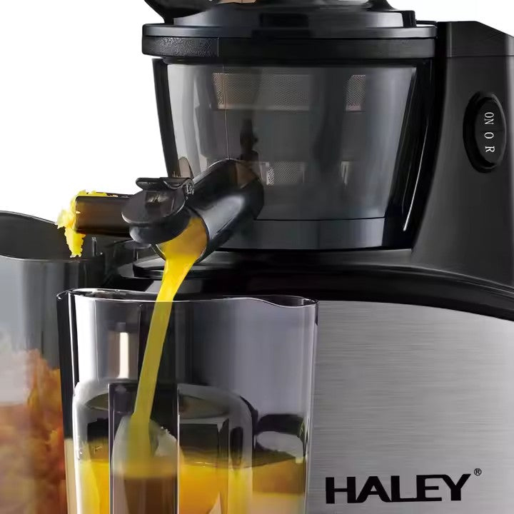 Storcător Electric Fructe și Legume HALEY 250W – Zgomot Redus, Eficiență Ridicată, 500ml, Design Modern cu Funcții Avansate