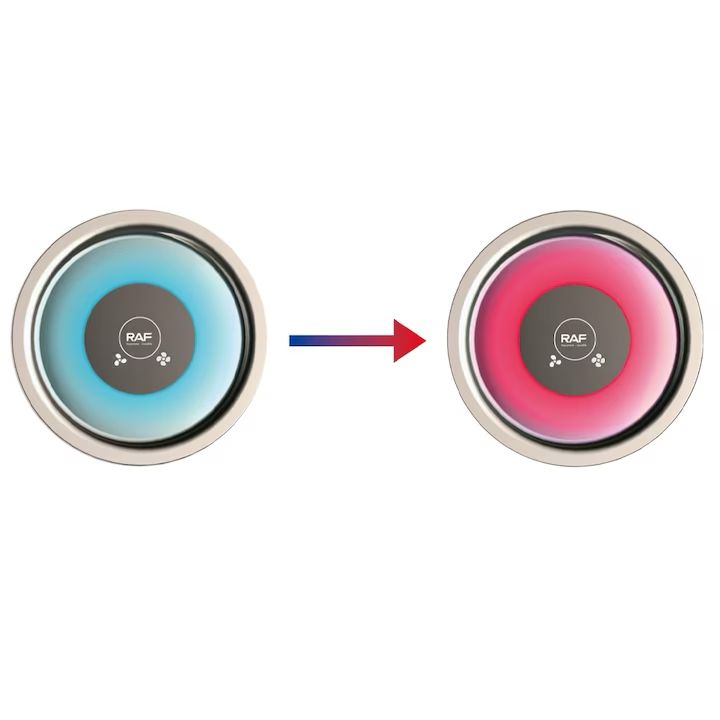 Uscator de par, RAF R423, 1600W, 33.5x16x8cm, 2 viteze si 3 trepte de temperatura, 1 cap magnetic, alb